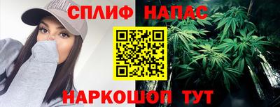 каннабис Майкоп