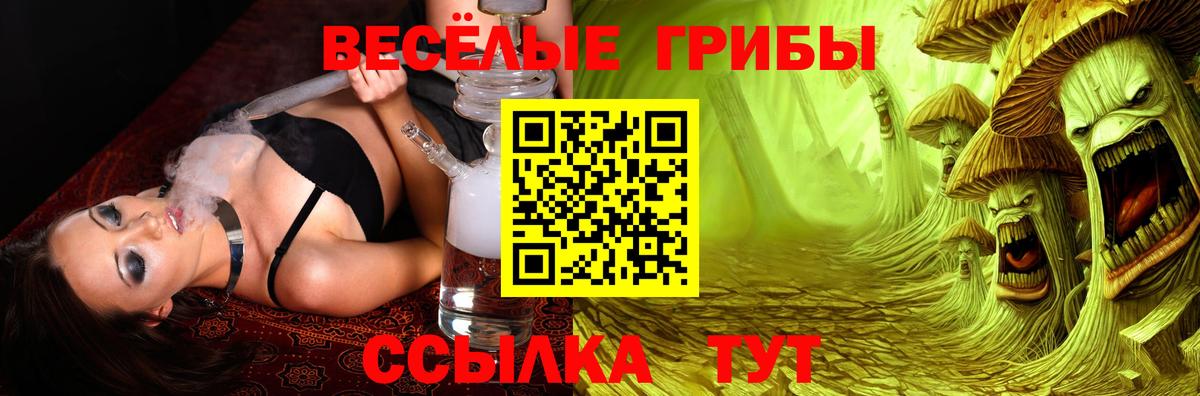 Галлюциногенные грибы Psilocybe Нижневартовск